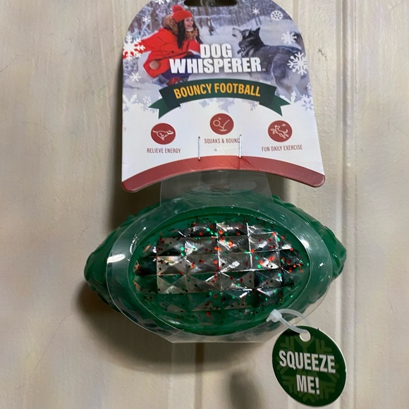 Dog Whisperer ~ Bouncy  Football Ball - Squeaky Dog Toy 5” - Picture 5 of 6